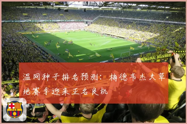 温网种子排名预测：梅德韦杰夫草地赛季迎来正名良机