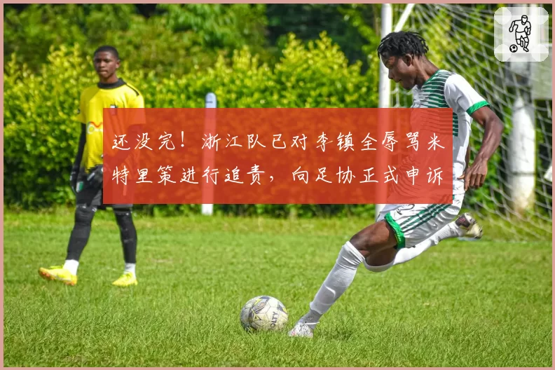 还没完!浙江队已对李镇全辱骂米特里策进行追责,向足协正式申诉