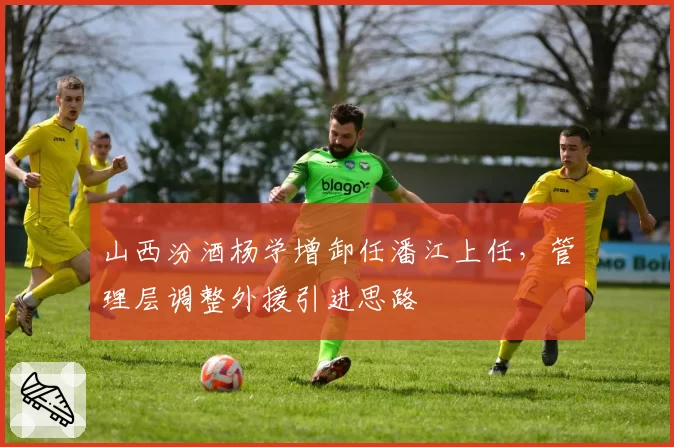 山西汾酒杨学增卸任潘江上任,管理层调整外援引进思路