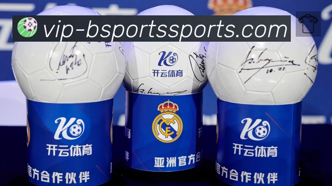 B体育站内搜索增强